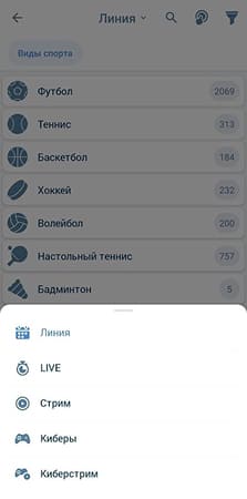 выбор вида ставок